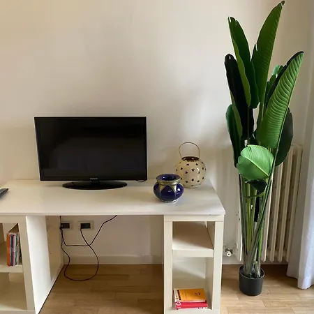 Interno 7